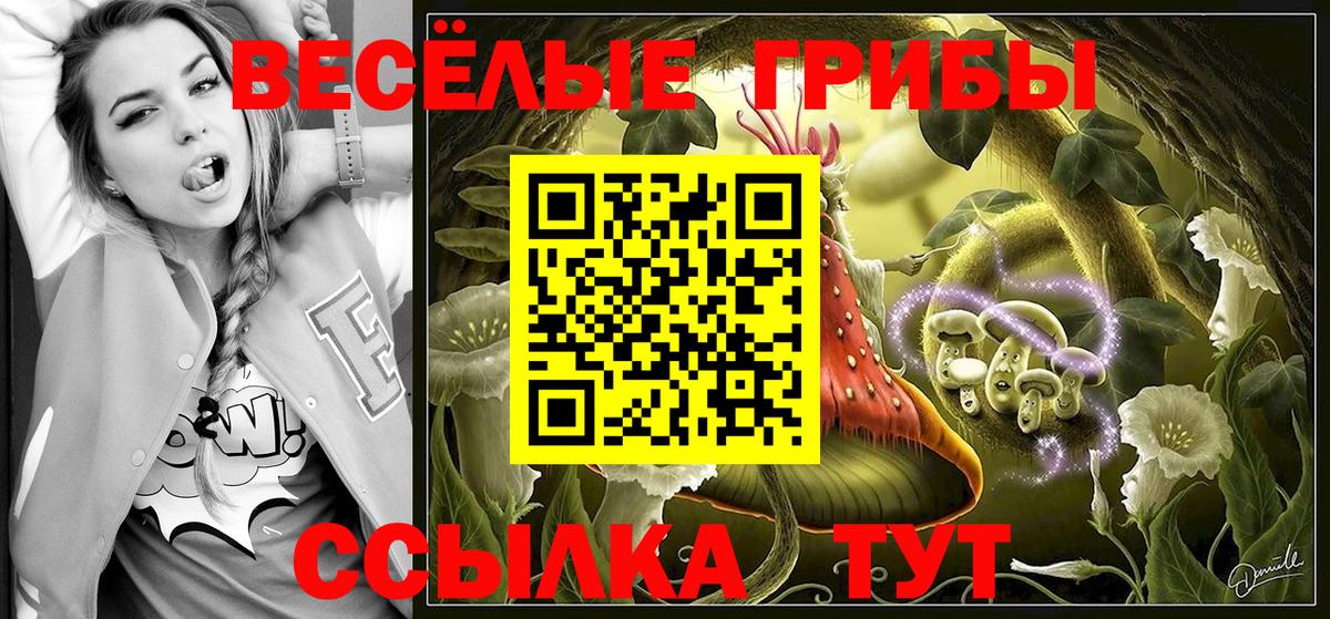 Псилоцибиновые грибы MAGIC MUSHROOMS Ступино