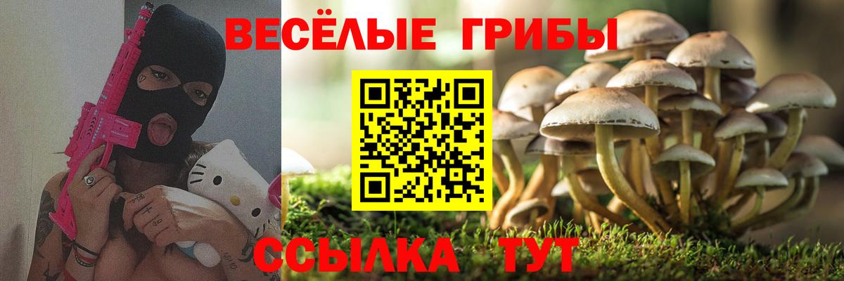 Псилоцибиновые грибы Magic Shrooms  Вход с VPN  Ступино  Псилоцибиновые грибы Cubensis 
